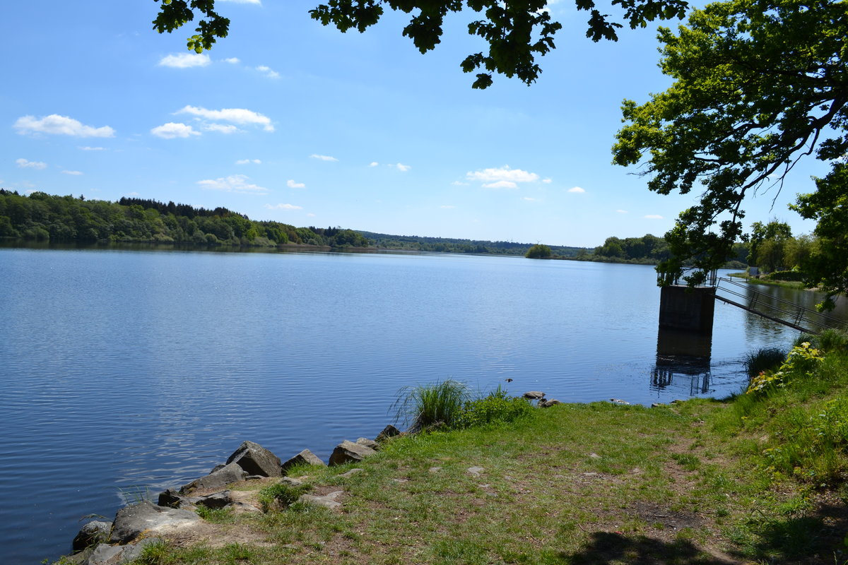 DSC_0104.JPG