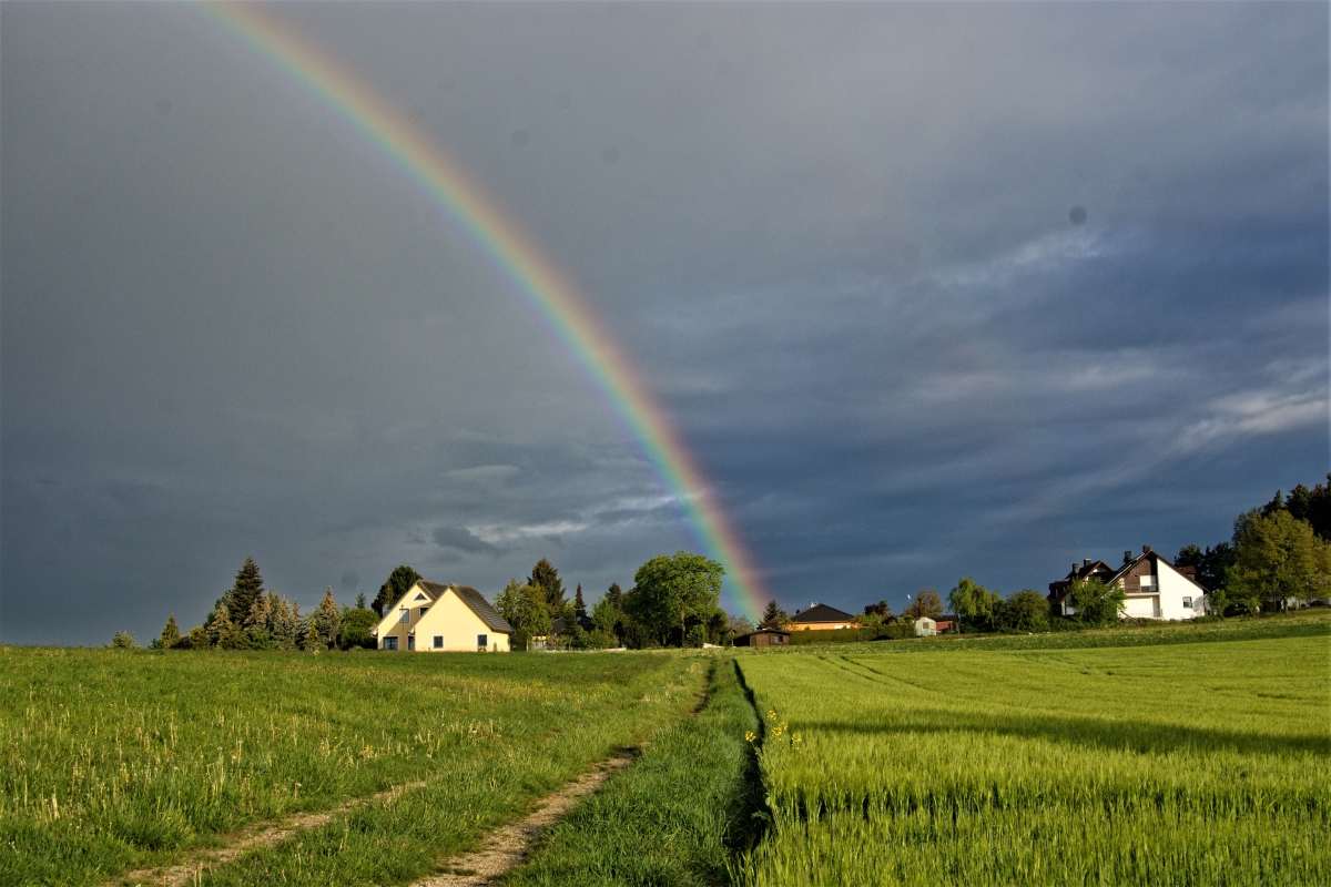DSC_0106_DxO2.jpg