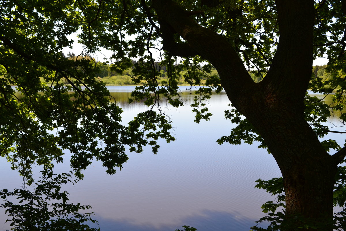 DSC_0108.JPG