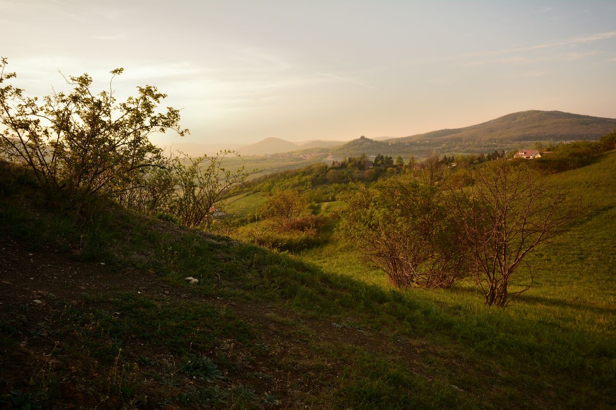 DSC_0108_00001n.jpg