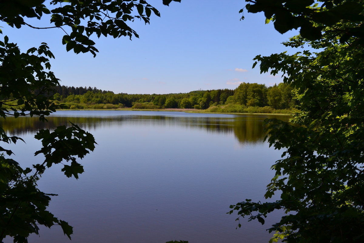 DSC_0109.JPG