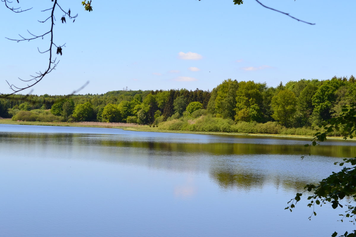 DSC_0113.JPG