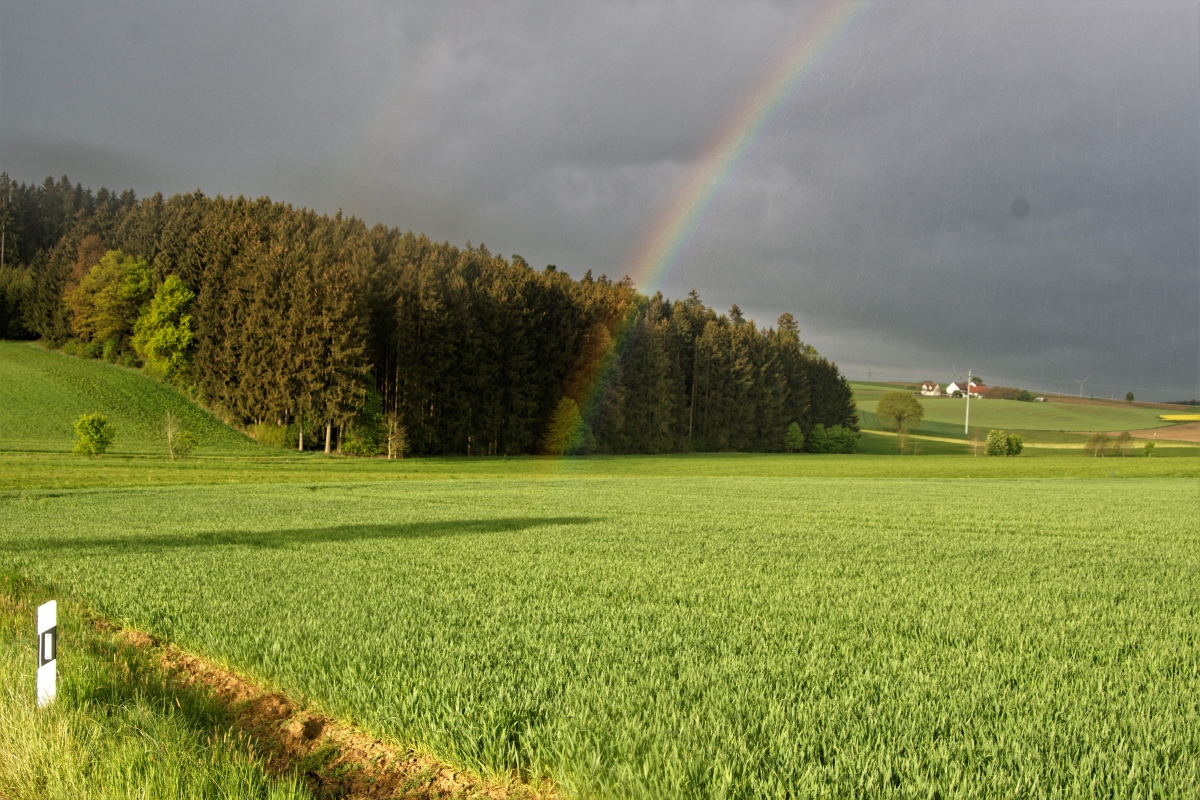 DSC_0113_DxO2.jpg