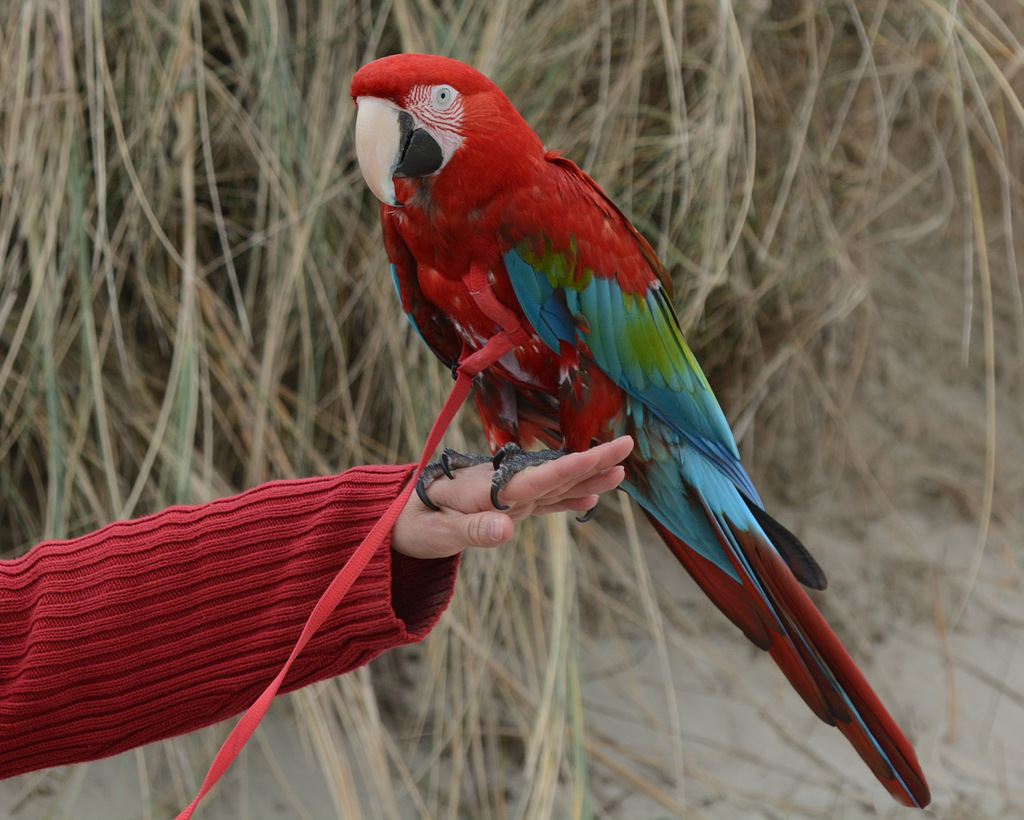 DSC_0127.jpg