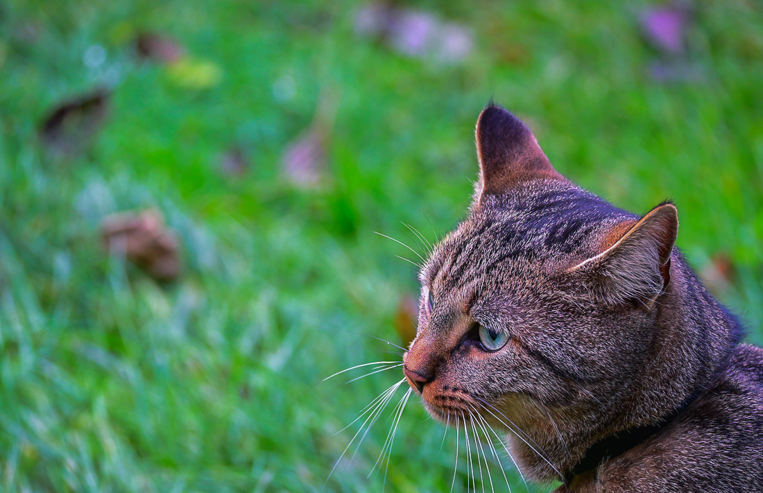 DSC_0128.jpg