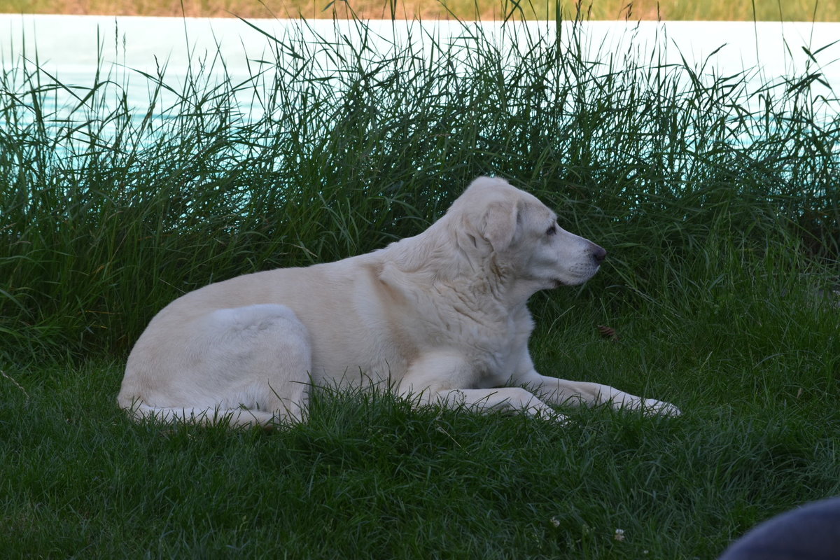 DSC_0134.JPG