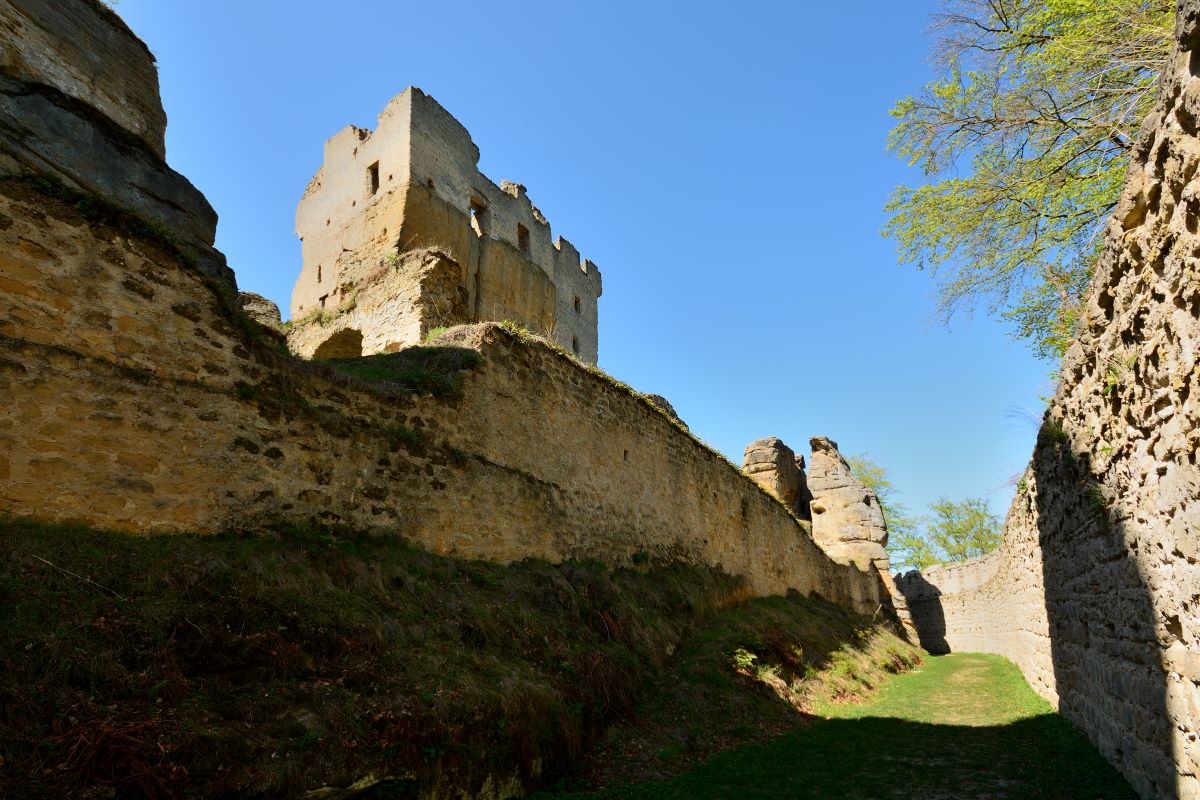 DSC_0136_00001n.jpg