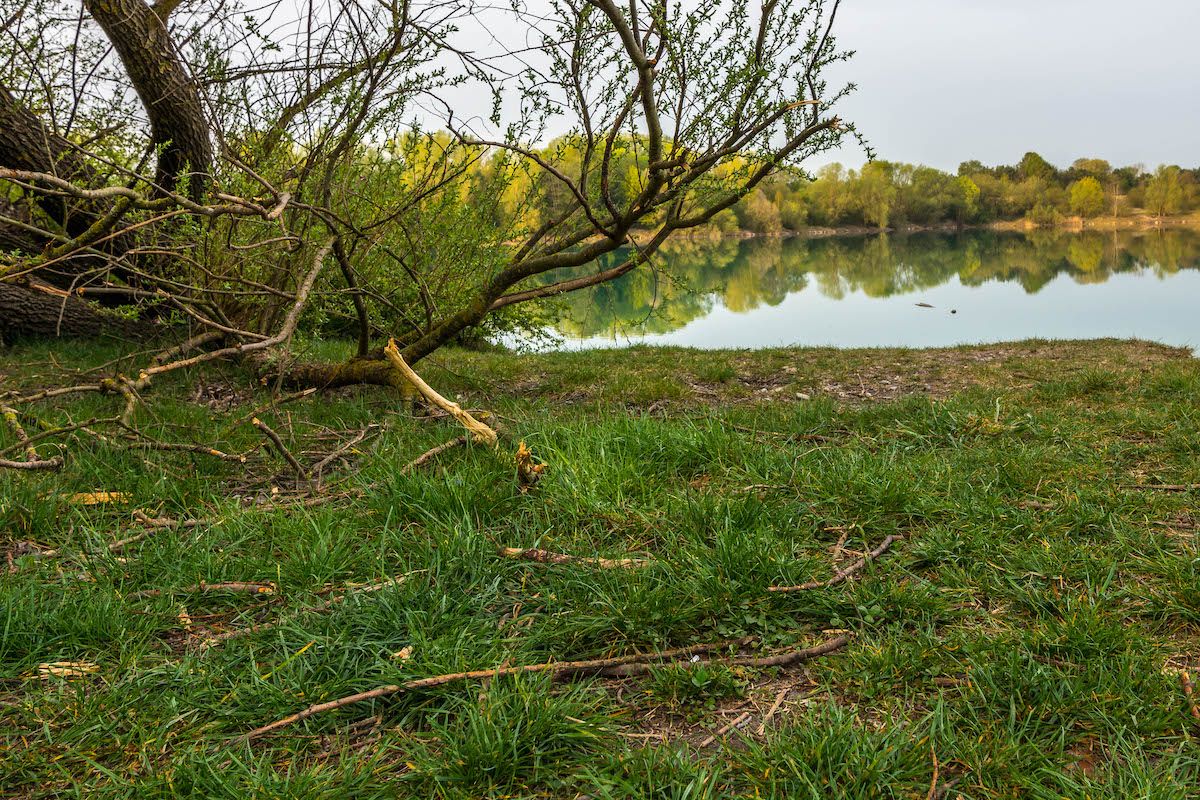 DSC_0139.jpg