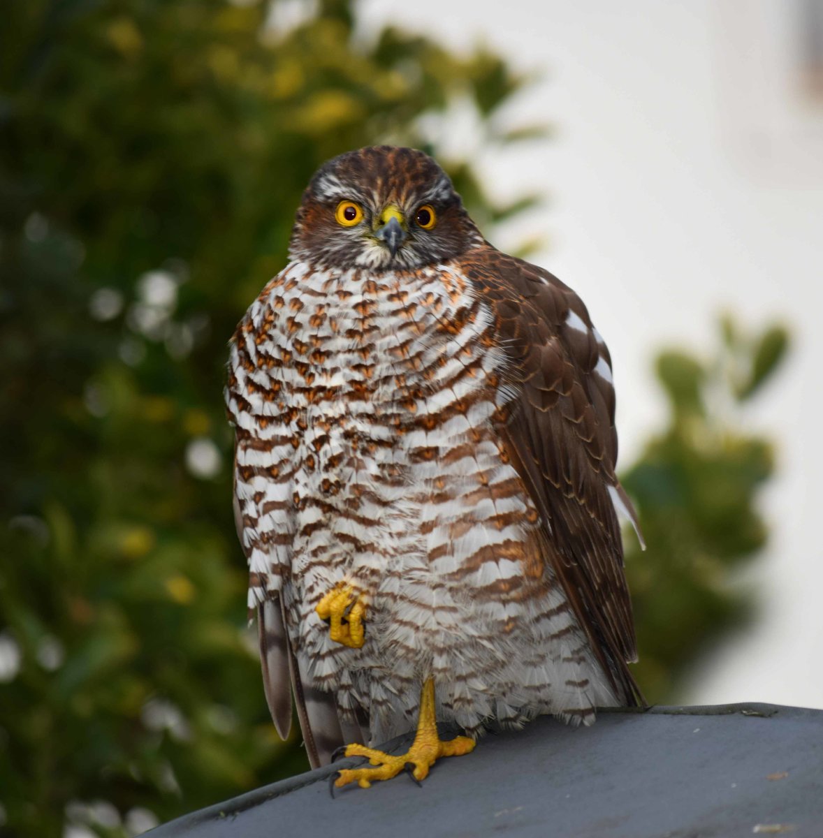 DSC_0160_00001_01.jpg