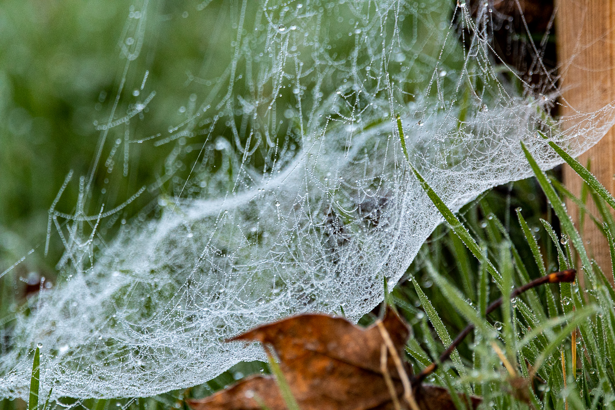 DSC_0163-2.jpg