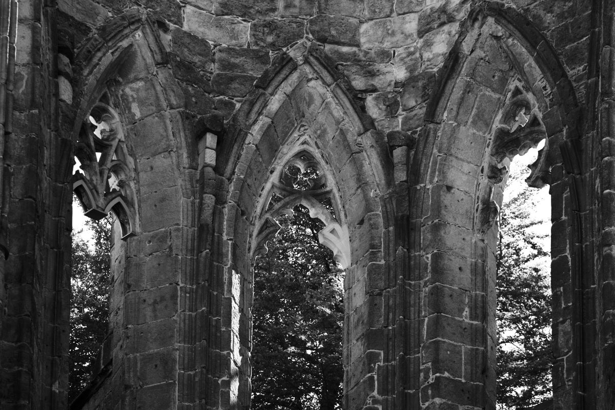 DSC_0163_00001_03n.jpg
