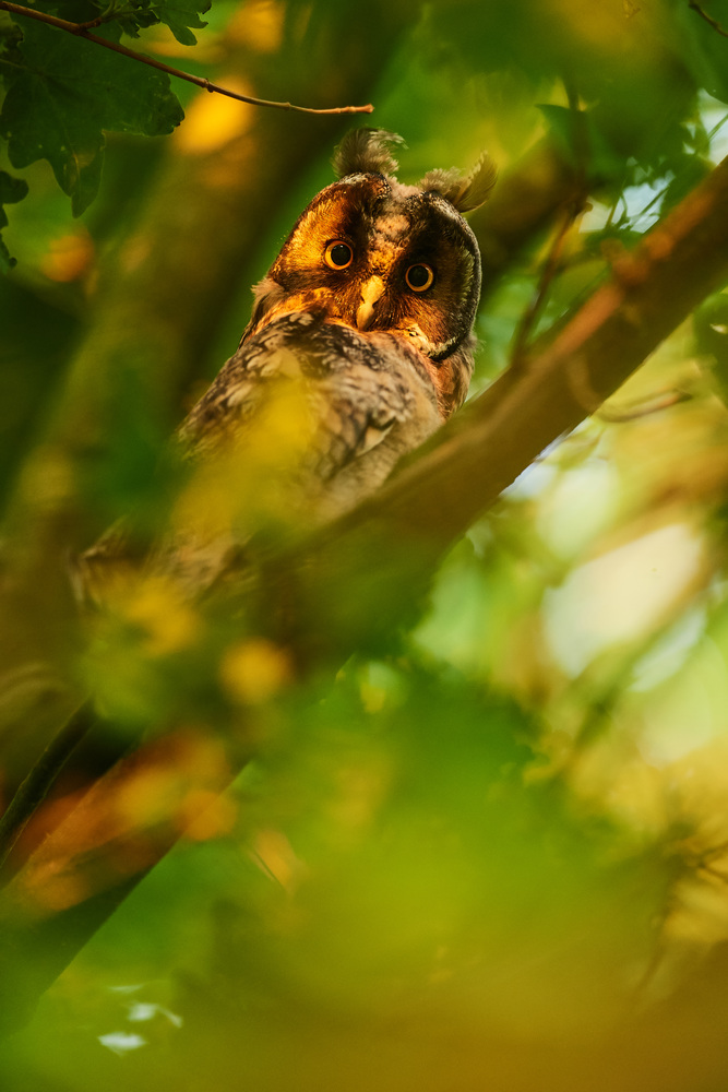 DSC_0167 1.jpg