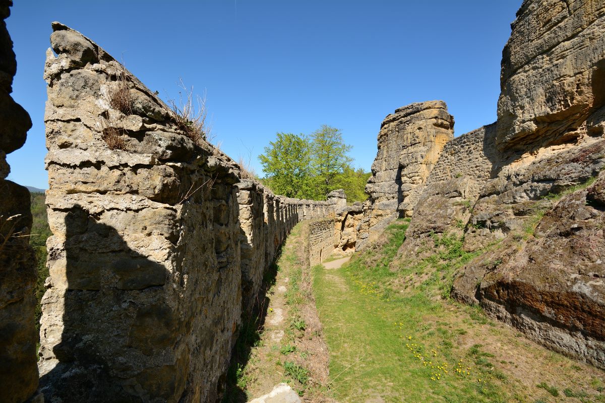 DSC_0170_00001n.jpg