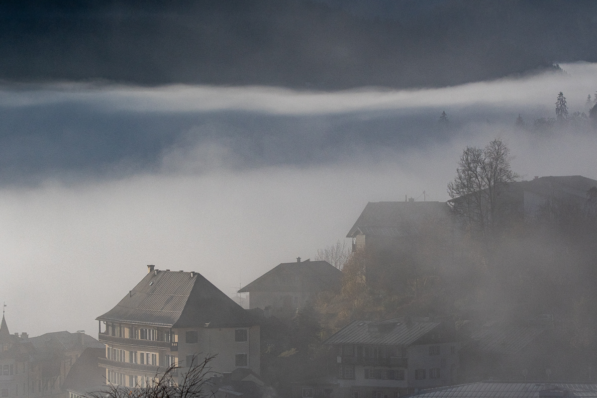 DSC_0182.jpg