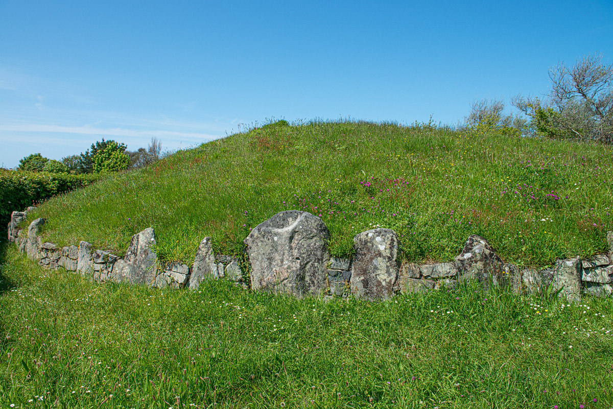 DSC_0199.jpg