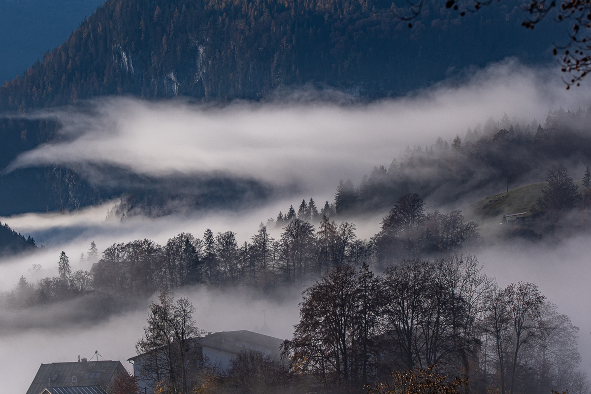 DSC_0201.jpg