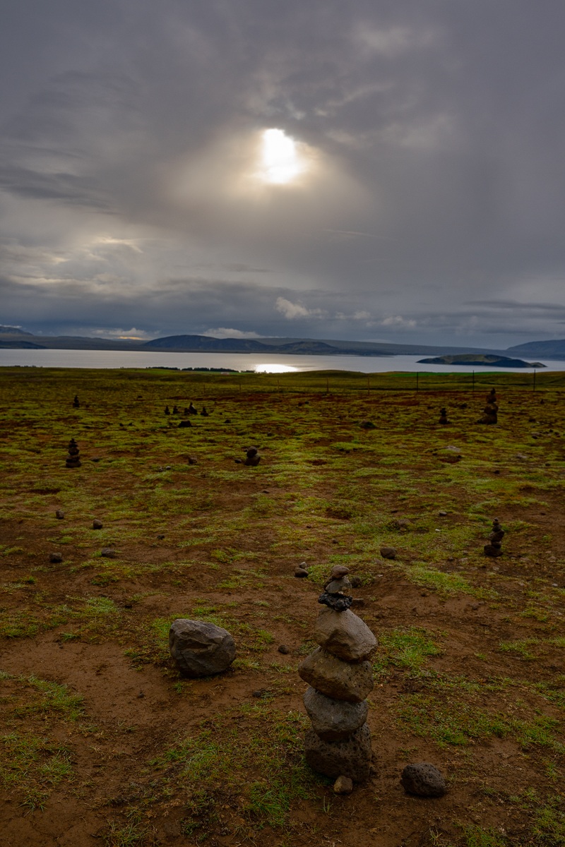 DSC_0203.jpg