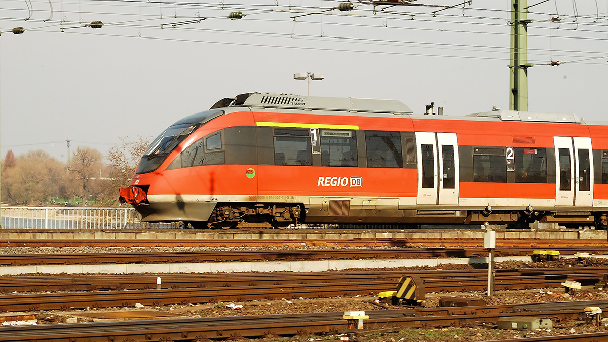 DSC_0204KPxl.jpg