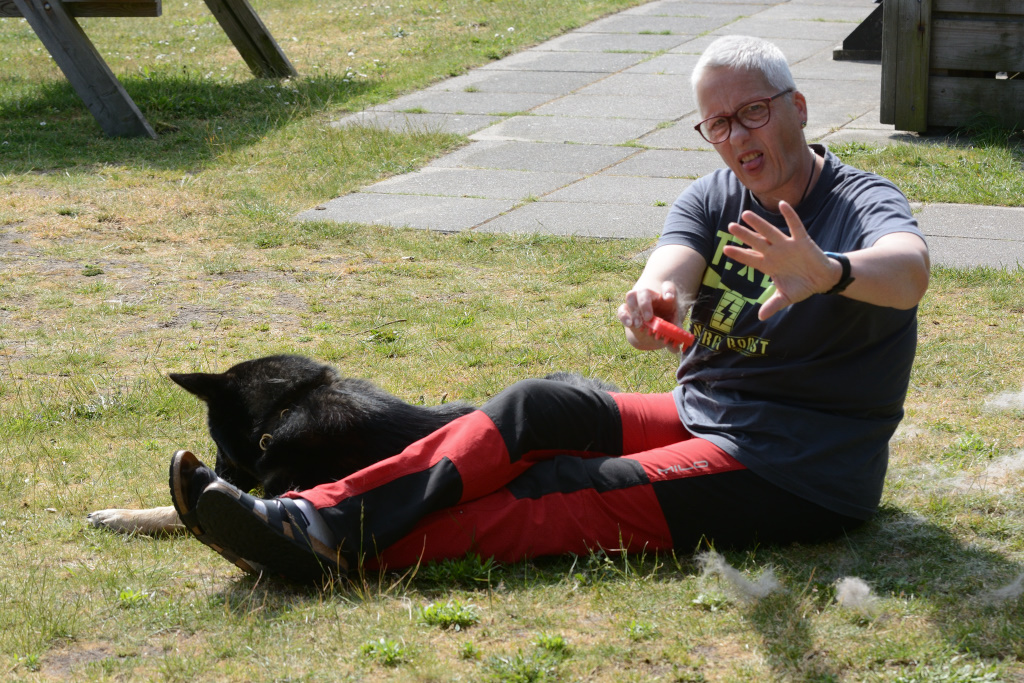 DSC_0208_00007.jpg