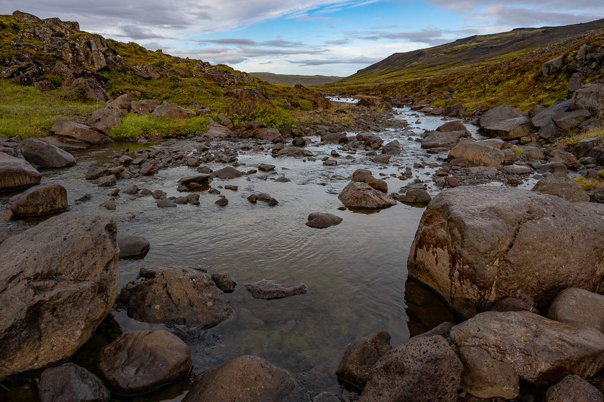 DSC_0211.jpg