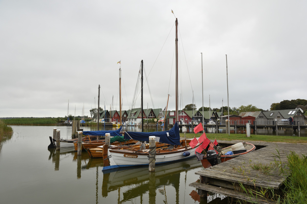 DSC_0220.JPG