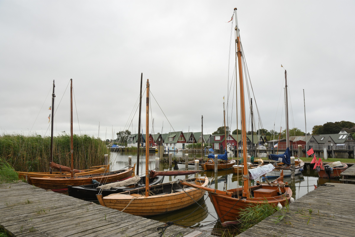 DSC_0221.JPG