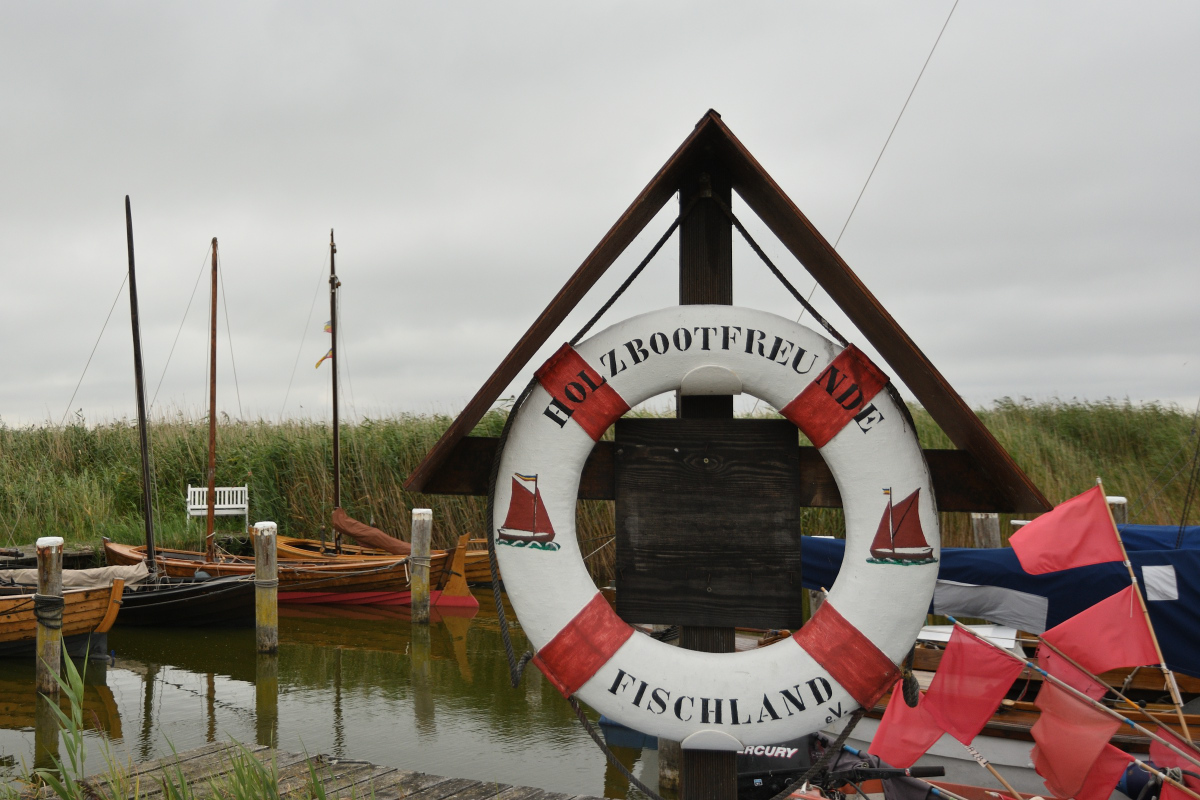 DSC_0223.JPG