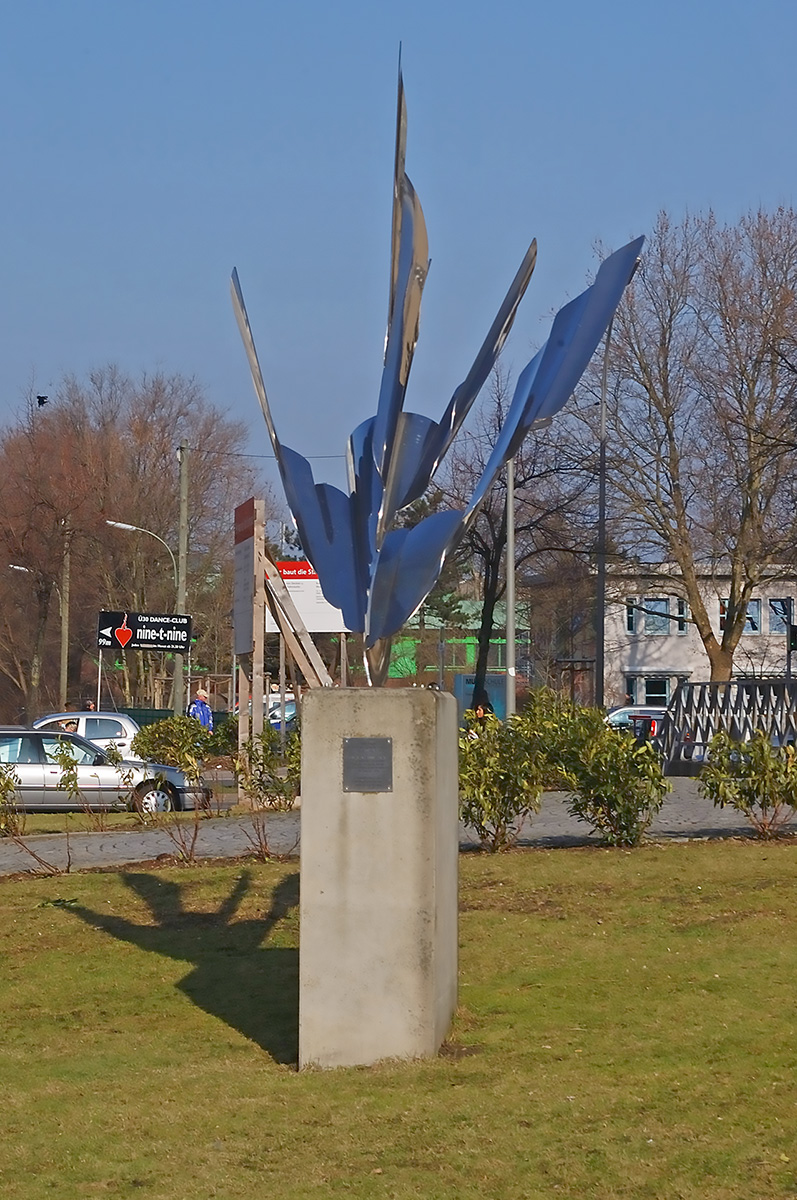 DSC_0238cnxAxl.jpg