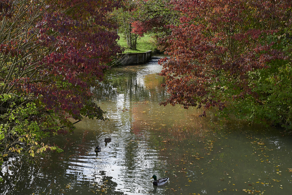 DSC_0244_01.JPG