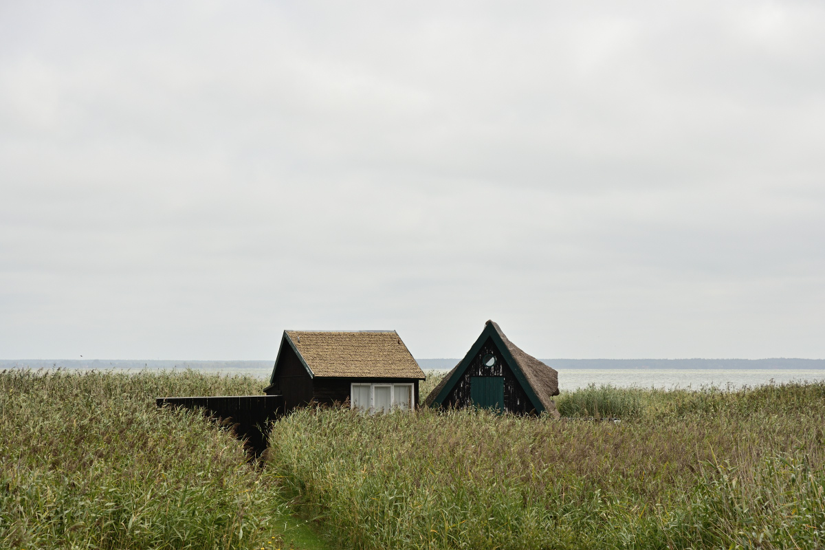 DSC_0245.JPG
