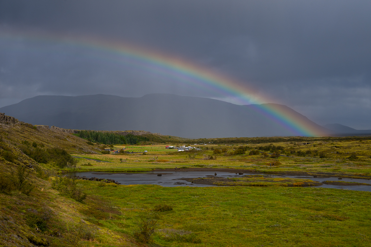 DSC_0247.jpg
