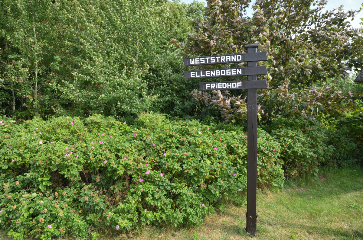 DSC_0262.JPG