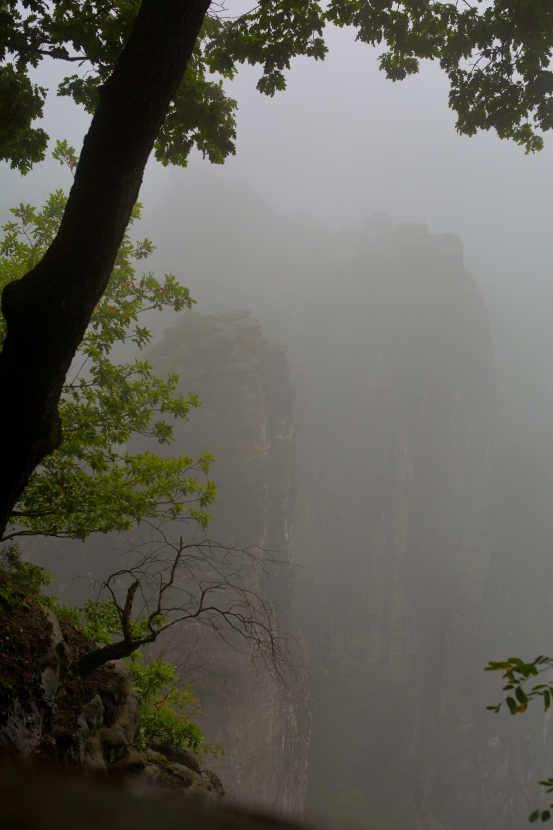 DSC_0269_00001n.jpg