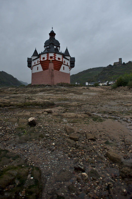 DSC_0274.jpg