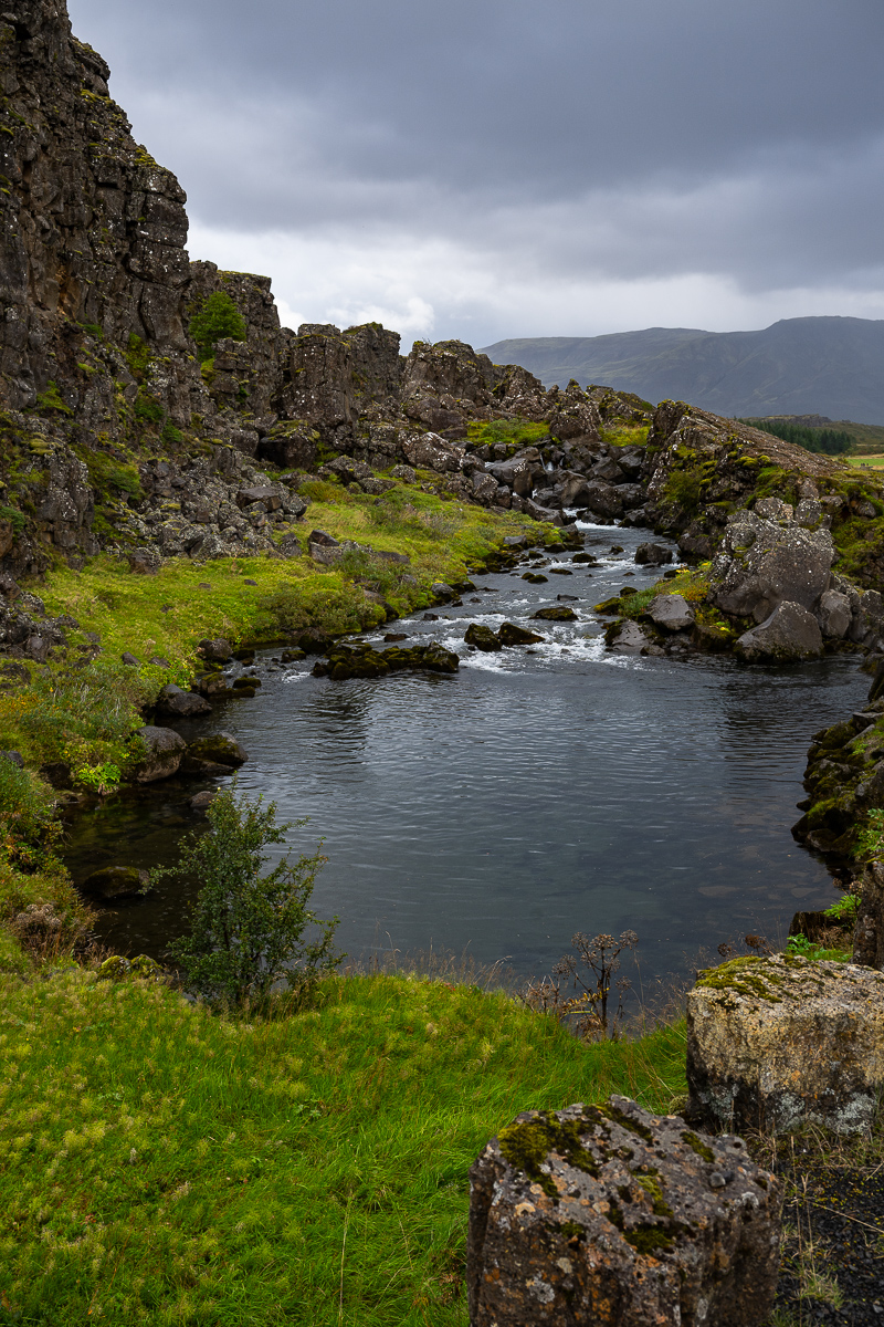 DSC_0276.jpg