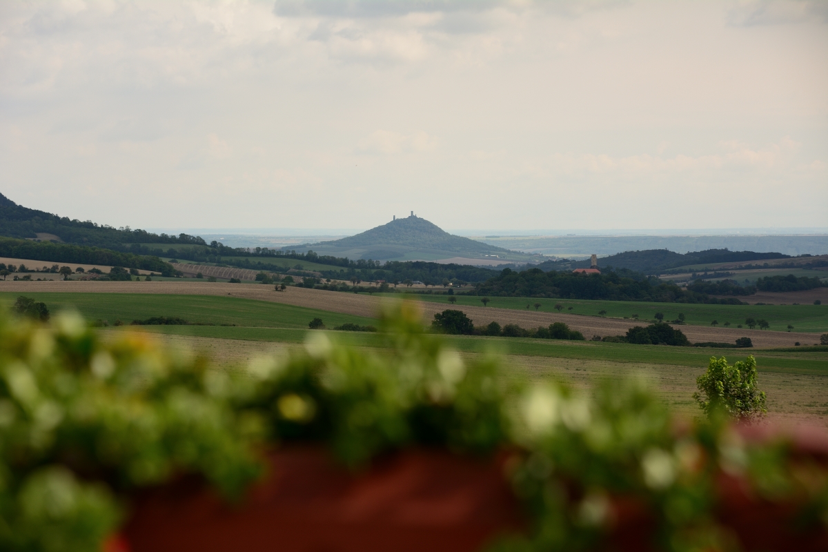 DSC_0278_00001n1.jpg