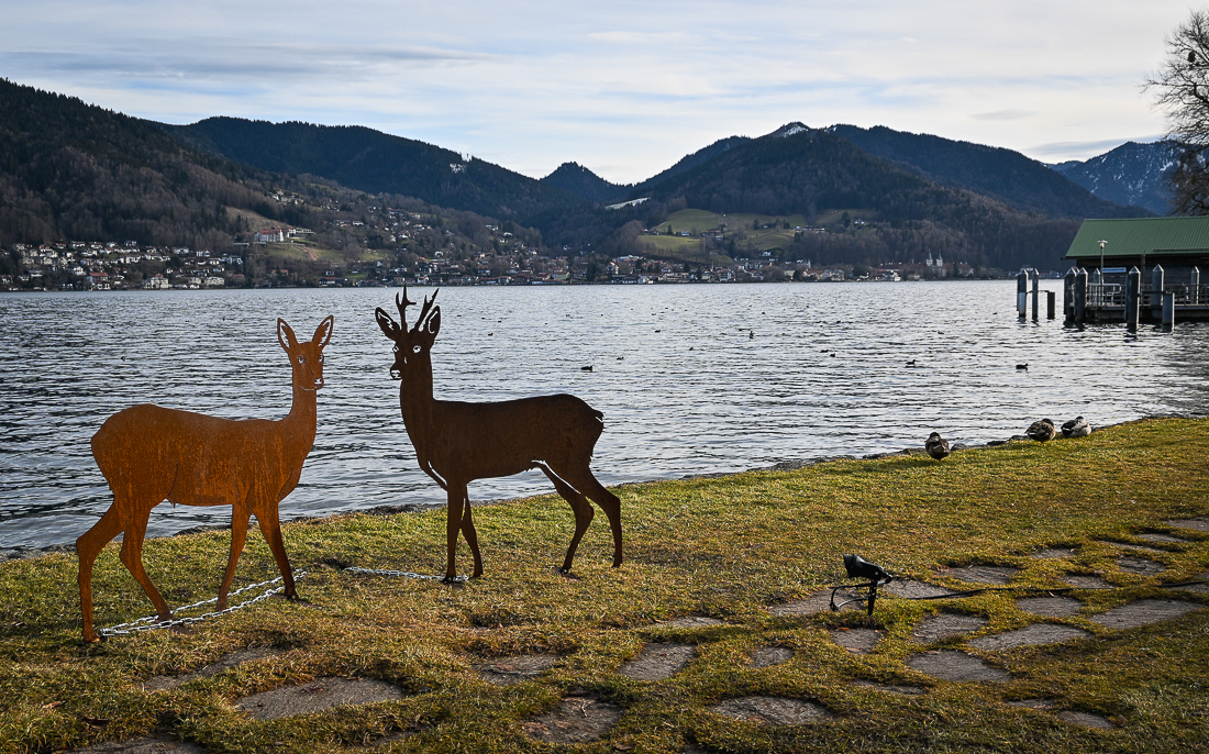 DSC_0288.jpg