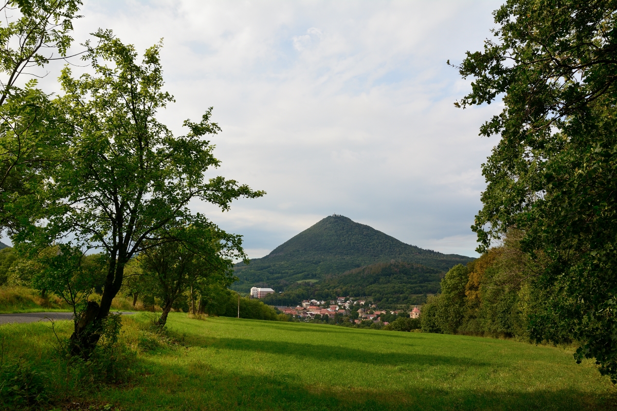 DSC_0290_00001n1.jpg