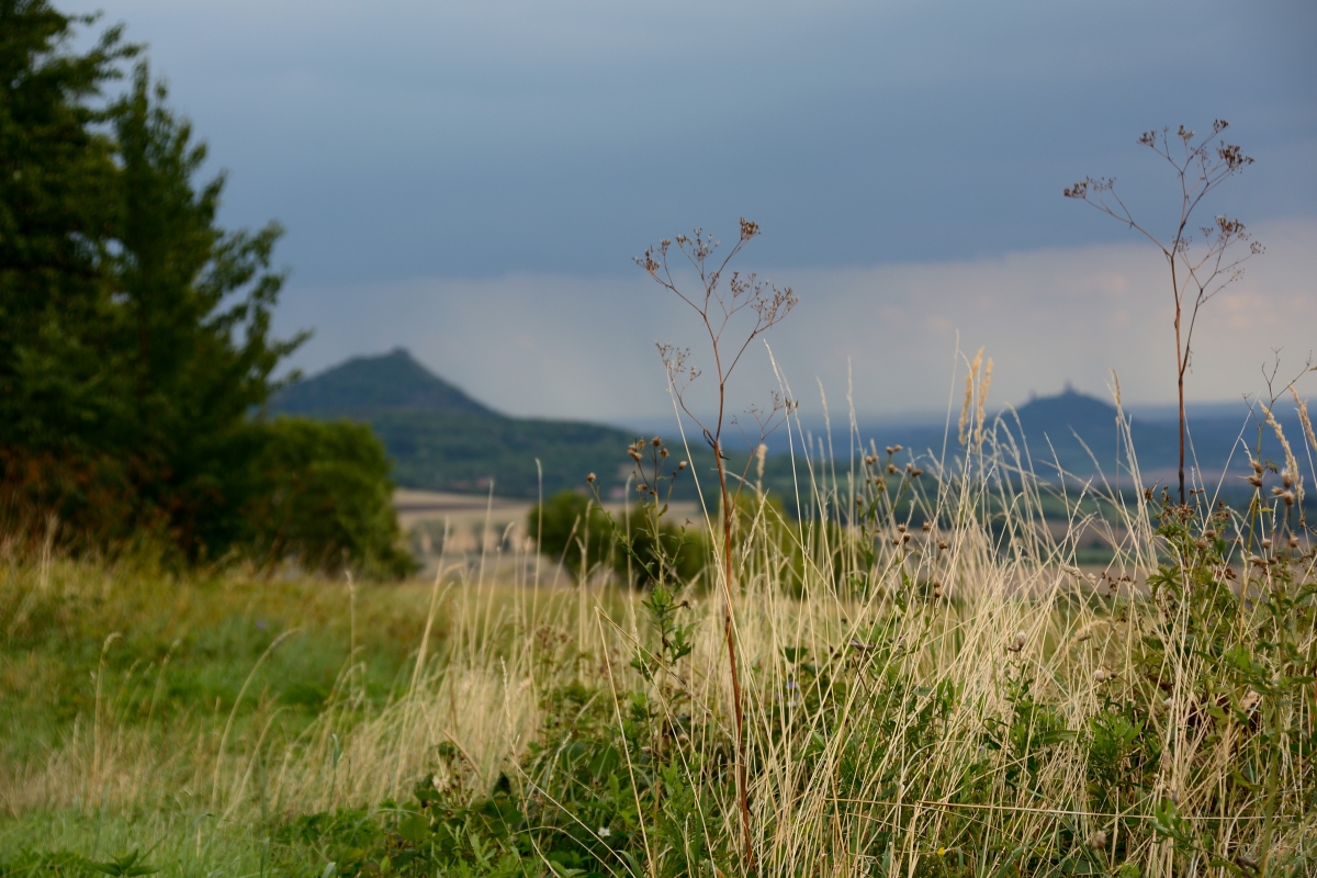 DSC_0300_00001 (3)n.jpg