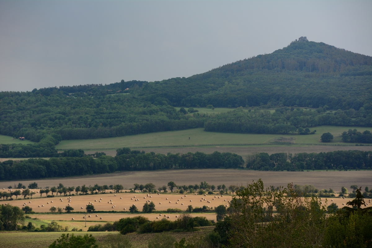 DSC_0307_00001n.jpg