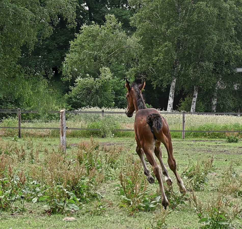 DSC_0312 (2).jpg