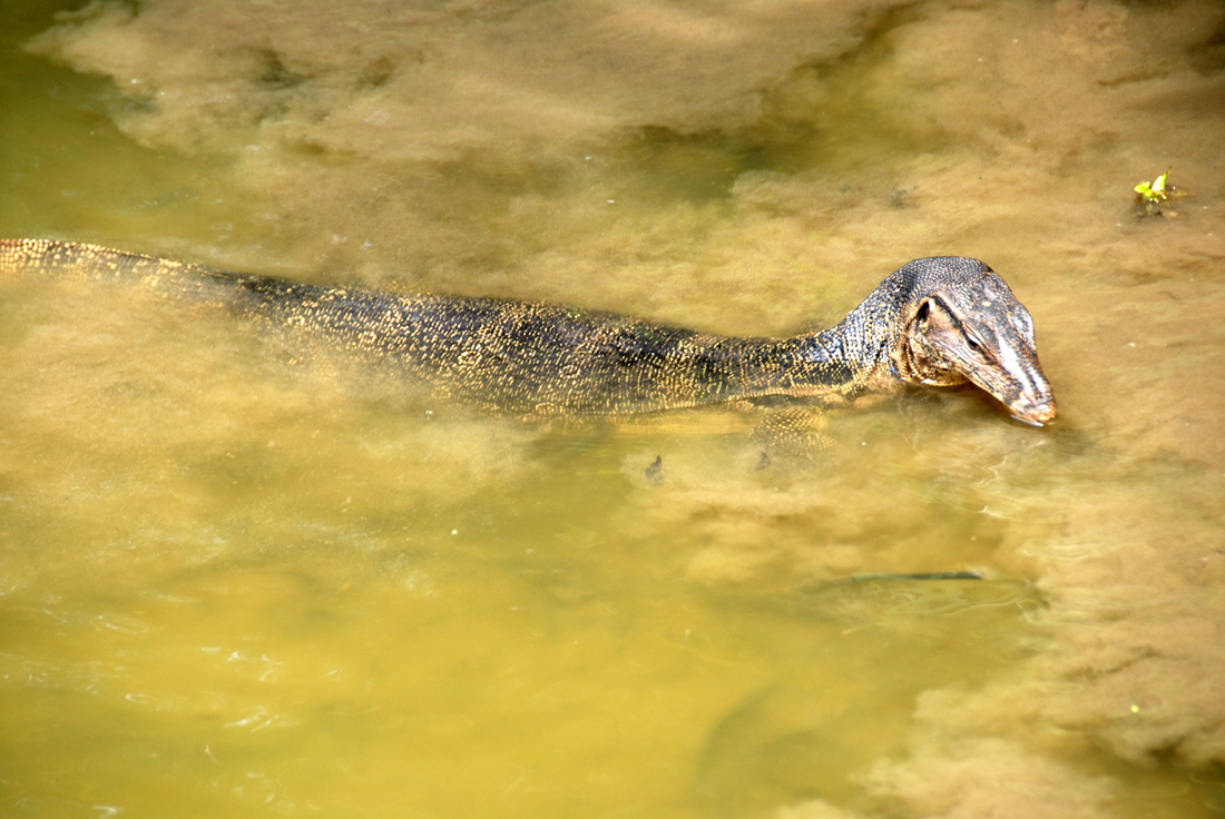DSC_0324_1.jpg