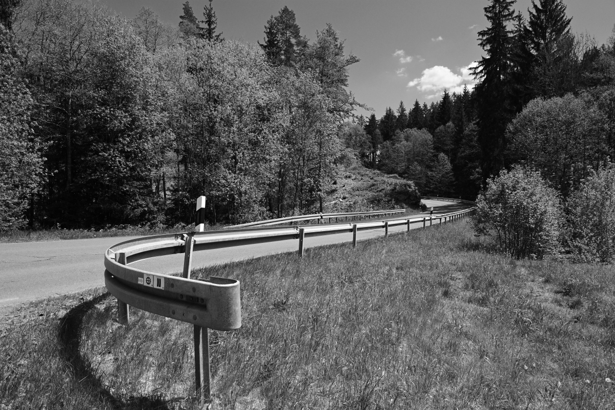 DSC_0337.JPG