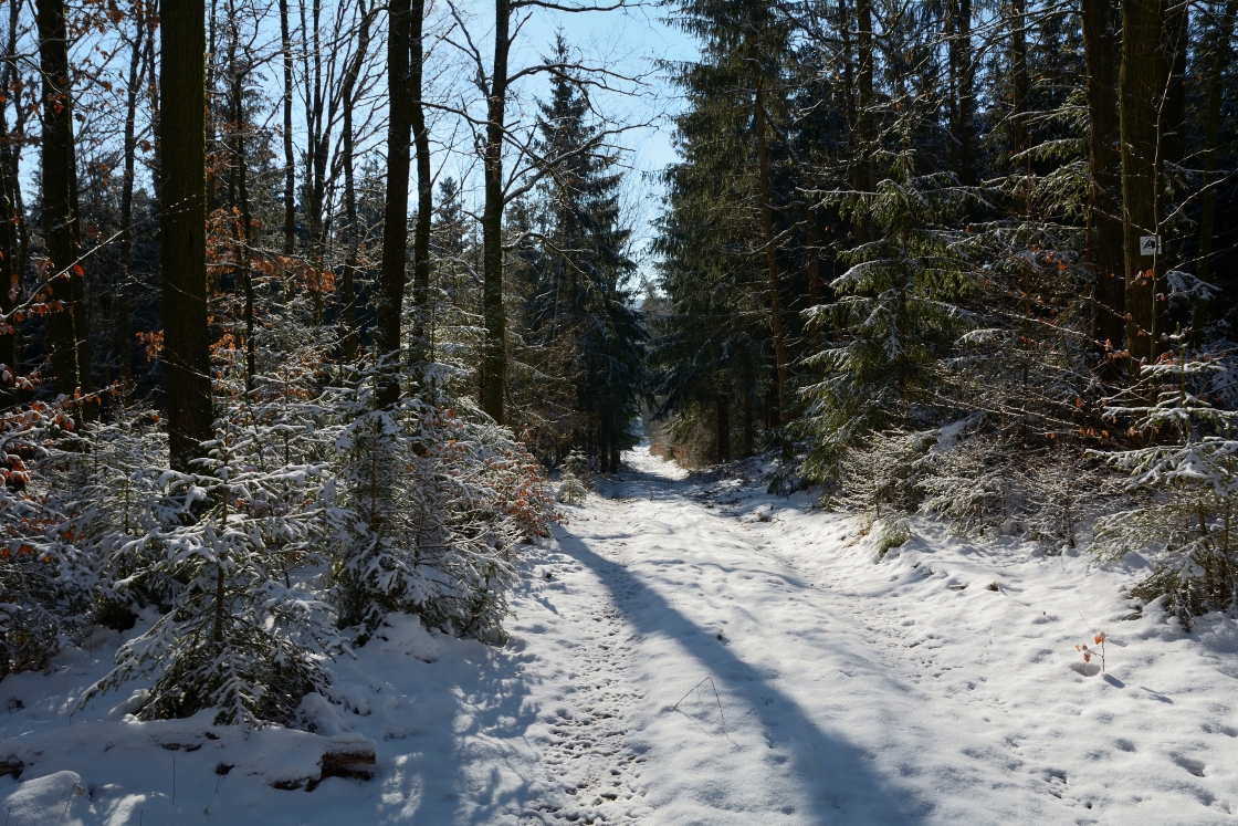 DSC_0343_00001n1.jpg