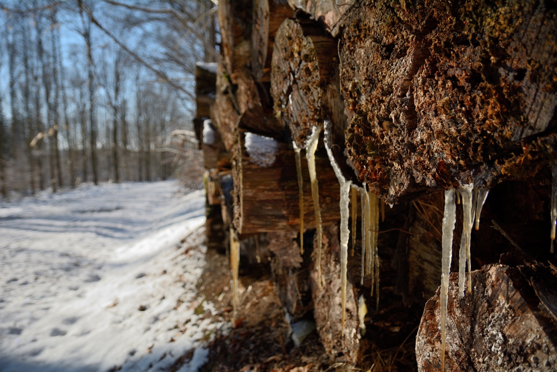 DSC_0346_00001n.jpg