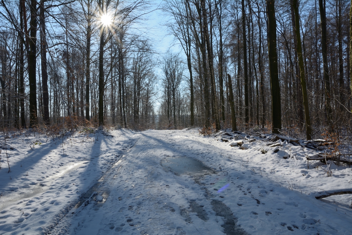 DSC_0351_00001_01n1.jpg