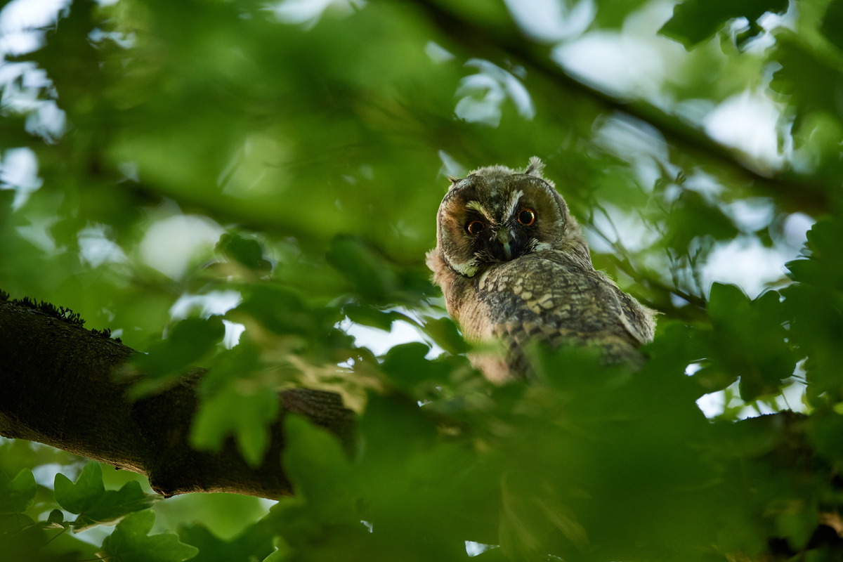 DSC_0353.jpg