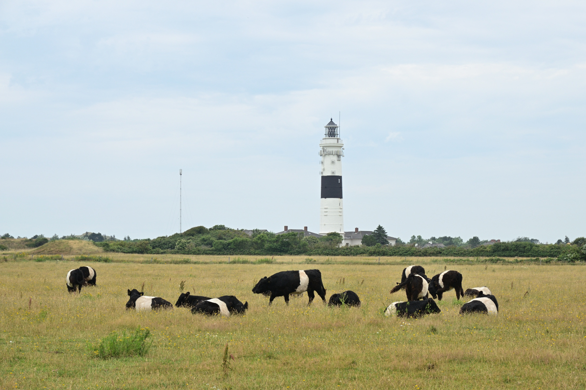 DSC_0357.JPG
