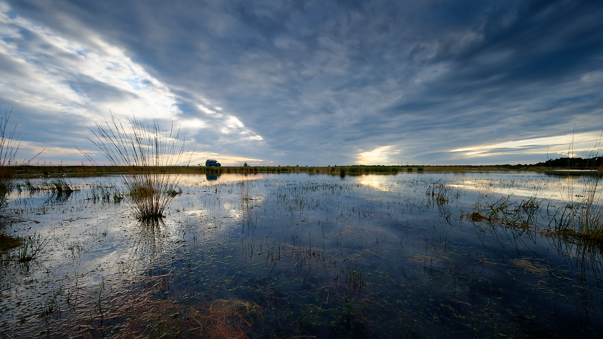 DSC_0362-2.jpg