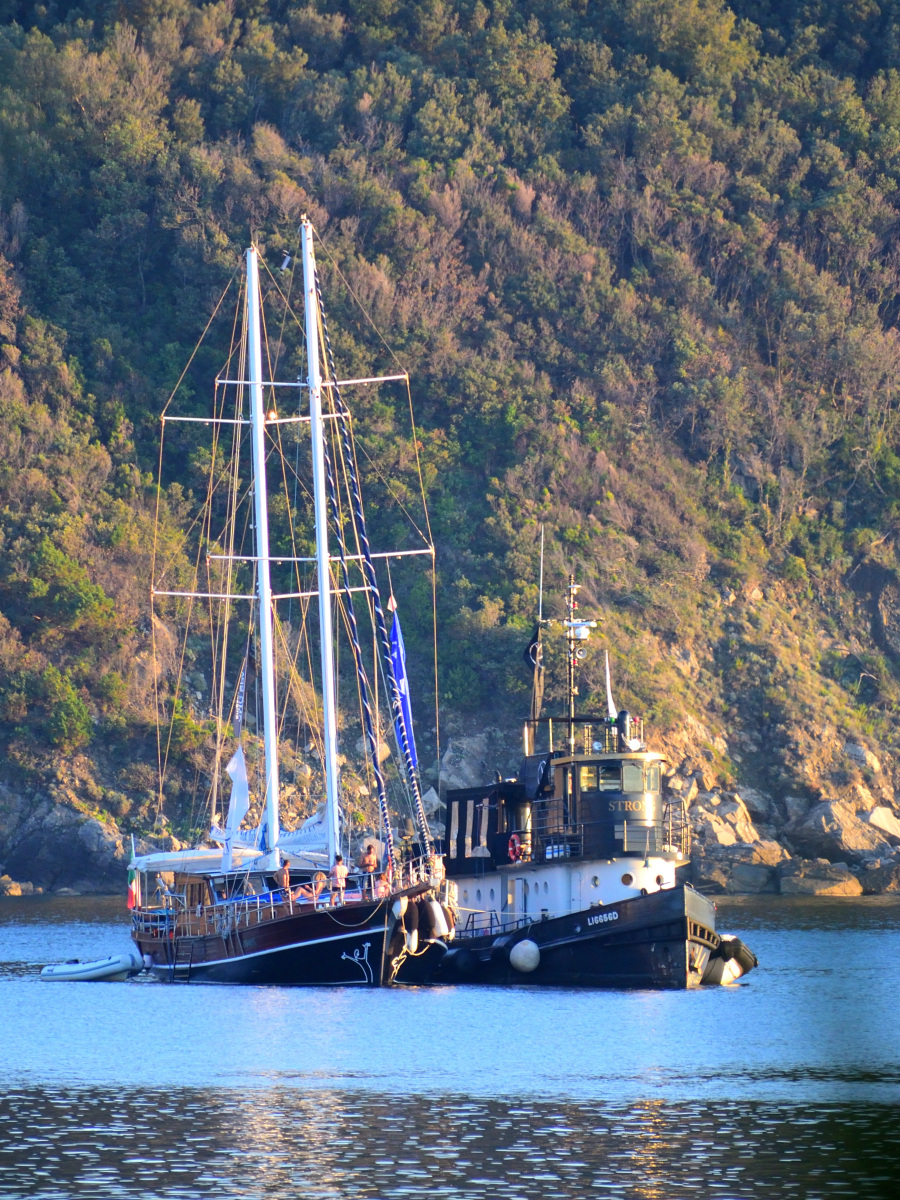 DSC_0362_00001.jpg